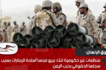منظمات غير حكومية تندّد ببيع فرنسا أسلحة للإمارات بسبب سجلها الحقوقي بحرب اليمن
